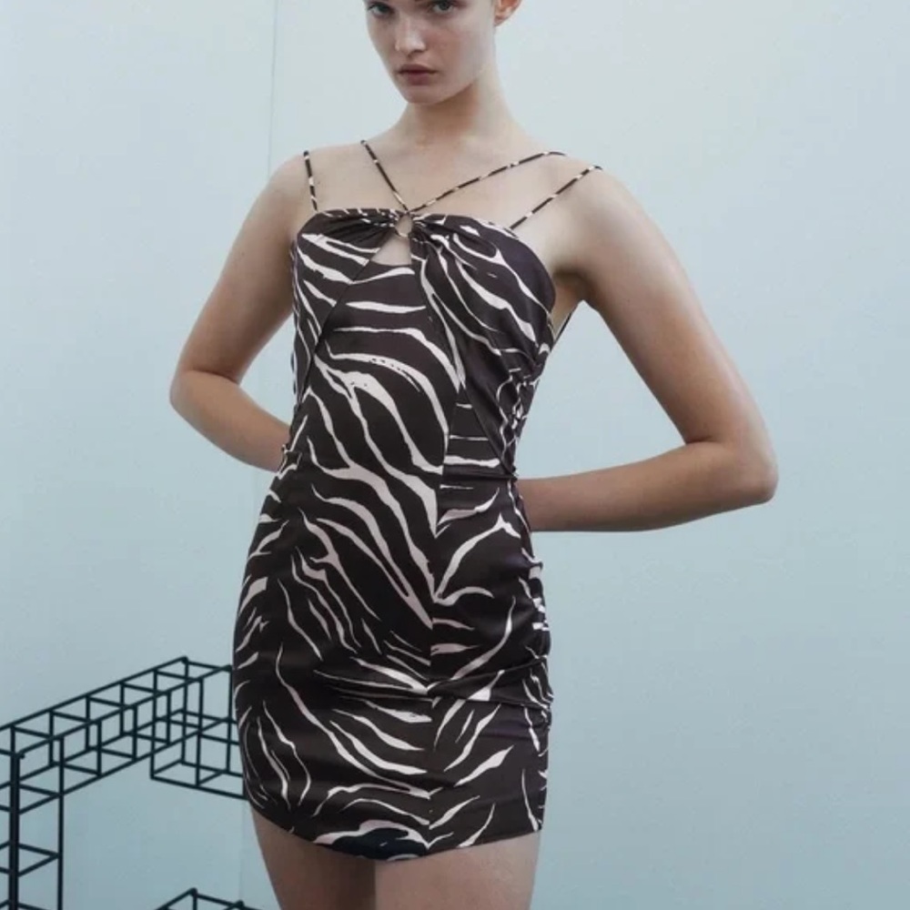 Zara Zebra Print Mini Dress